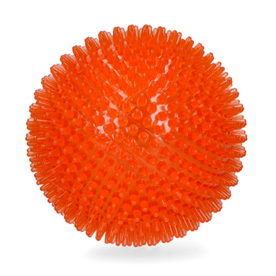 Oranje Egelbal L Oranje Egelbal L