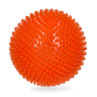 Oranje Egelbal L - thumbnail