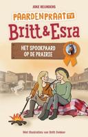 Het spookpaard op de prairie - thumbnail