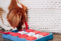 Nina Ottosson dog brick turquoise / rood - thumbnail