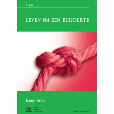 Leven na een beroerte (Paperback)