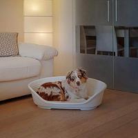 SIESTA DELUXE Mand - Mandmaat 8 - 82*59,5*25 cm - Groen - FERPLAST - thumbnail