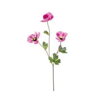 Basic Kunstbloem klaproos 70 cm fuchsia - thumbnail