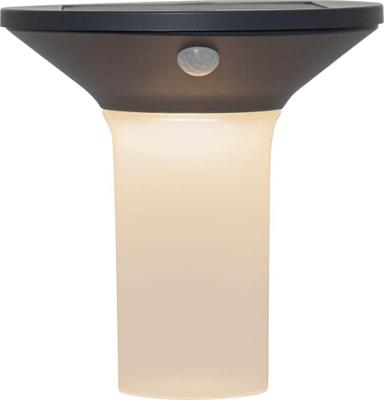 Eglo Solar lampCorbezzola met bewegingssensor - 900243