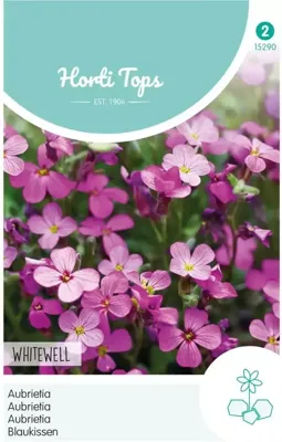 Zaden Aubrietia Blauwkussen Whitewell Gem Hortitops - Hortitops