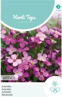 Zaden Aubrietia Blauwkussen Whitewell Gem Hortitops - Hortitops - thumbnail