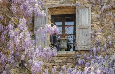 Alexsar Art Tuindoek paarse bloemen raam 140x90cm