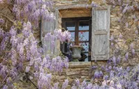 Alexsar Art Tuindoek paarse bloemen raam 140x90cm - thumbnail