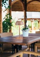 Trio Oplaadbaar tafellampjeRicardo koffiebruin - R54106165 - thumbnail