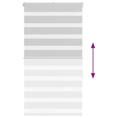 VidaXL Zebra rolgordijn 70x100 cm stofbreedte 65,9 cm lichtgrijs