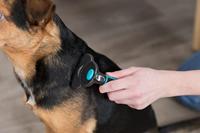 Trixie eye care reinigingspads voor ogen - thumbnail