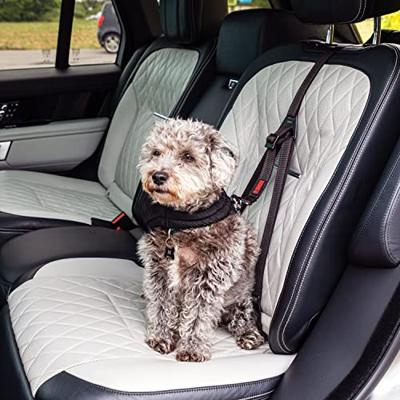KONG AUTOGORDEL HOND ULTIMATE SAFETY - thumbnail