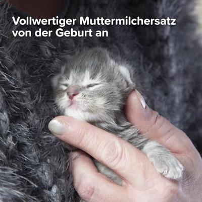 BEAPHAR KITTY MILK LACTOL 500 GR - thumbnail