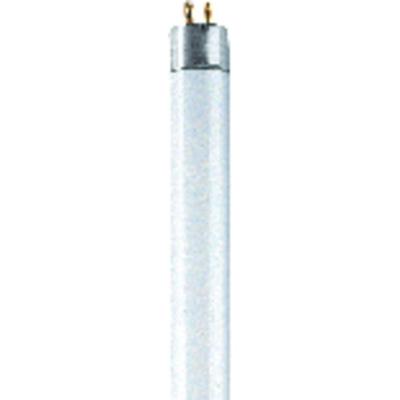 OSRAM HOMELIGHTING TL-lamp Energielabel: G (A - G) G13 15 W Koudwit 840 Buis (Ø x l) 26 mm x 438 mm 1 stuk(s)