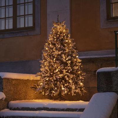 Konstsmide 6660 Kerstboomverlichting Buiten werkt op het lichtnet Aantal lampen 270 LED Konstsmide 6660 Kerstboomverlichting Buiten werkt op het lichtnet Aantal lampen 270 LED