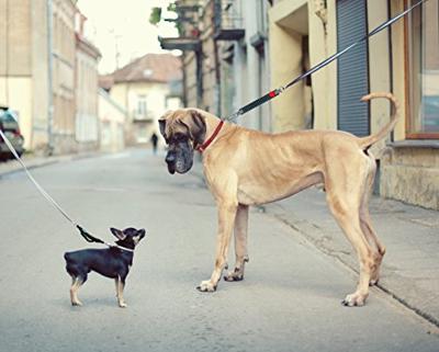 WAW Schokdempende lijnverbinding, zwart, Maat: XXL