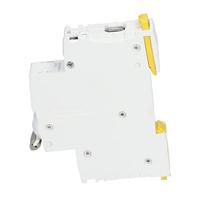 Schneider Electric A9S65191 100 A 240 V - thumbnail