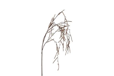 Country Field Kunsttak bruin kunststof h32cm