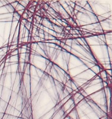 Vaessen Creative • sizoweb 5mx30cm in koker donkerpaars