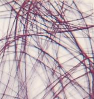 Vaessen Creative • sizoweb 5mx30cm in koker donkerpaars - thumbnail