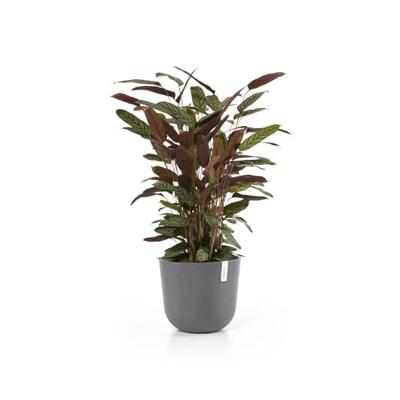 Ecopots Bloempot Oslo Ø35cm - Grijs Ecopots Bloempot Oslo Ø35cm - Grijs