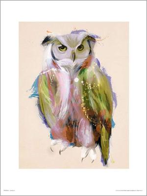 Kunstdruk Owl Paint 50x70cm