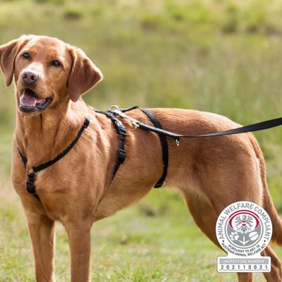 Geleideharnas voor hond Trixie Stay Zwart S/M