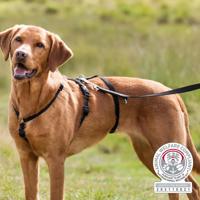 Trixie stay tuig zwart - thumbnail