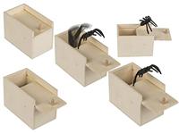 Spin in houten doos - thumbnail