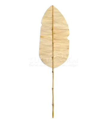 Bananenblad op Stok Lichtbruin 150cm