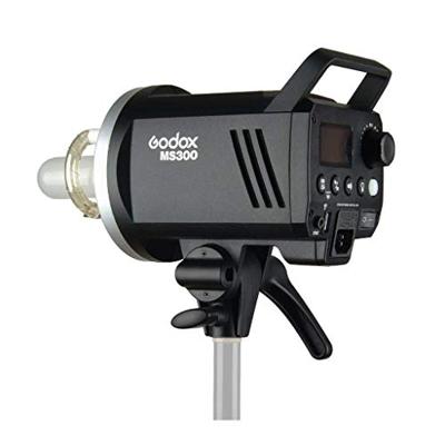 Godox MS300