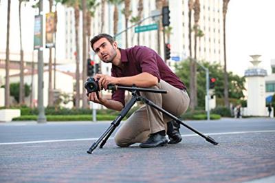 Vanguard Alta Pro 2+ 263AB100