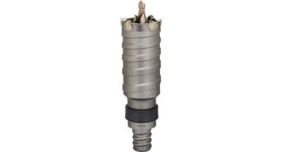 Bosch Accessories Bosch Power Tools 2608580524 Holle boorkroon 2-delig 100 mm 1 stuk(s)