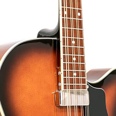 Gold Tone Mandocello inclusief hardcase