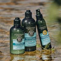 L'Occitane Essential Oils Freshness Shampoo 300ml - thumbnail