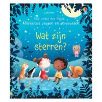 WPG Uitgevers Wat zijn sterren? flapjesboek - thumbnail