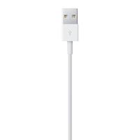 Lightning naar USB-kabel - APPLE - 1 m - thumbnail