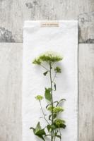 Walra gastendoek soft cotton wit 30x50 cm set van 2 - thumbnail