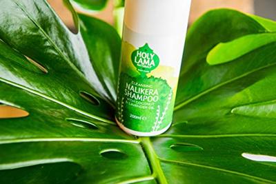 Holy Lama Naturals Ayurvedische Shampoo