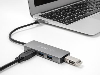 Delock 63171 4-poorts USB 5 Gbps hub met USB Type-A-connector - USB Type-A-poorten aan de zijkant