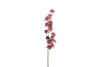 Decostar zijdebloem Matthiola 120 cm roze - thumbnail
