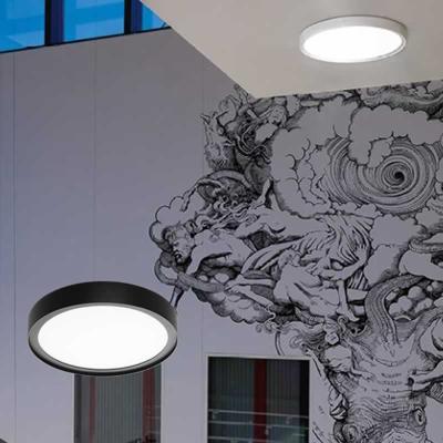 SG rond armatuur Disc 290 zwart Tunable LEDDim 2700-6500K 17W 1890 lumen dimbaar