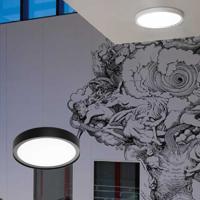 SG rond armatuur Disc 290 zwart Tunable LEDDim 2700-6500K 17W 1890 lumen dimbaar - thumbnail