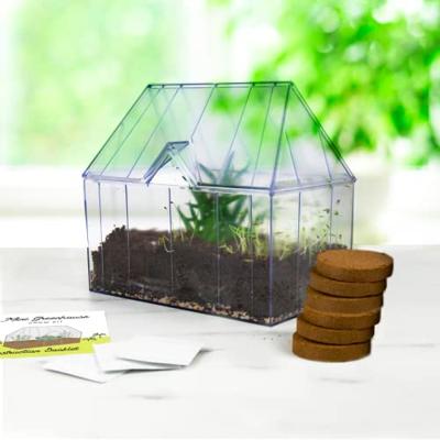 Gift Republic Green House Grow Kit wordt vertaald naar het Nederlands als "Gift Republic Kweekset voor in de kas". - thumbnail