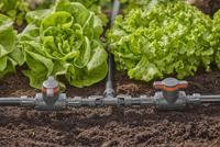 GARDENA Micro-Drip-System Afsluit- en reguleerventiel 13 mm (1/2") - thumbnail