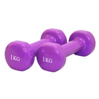 Vinyl Dumbbells - Focus Fitness - 2 x 1 kg - thumbnail