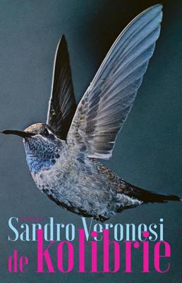 De kolibrie - Sandro Veronesi - eBook (9789044643909)