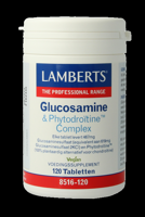 Glucosamine & Phytodroïtine complex - thumbnail
