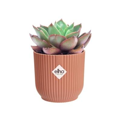 Elho Bloempot Vibes Fold Delicaat Roze Ø7cm - thumbnail