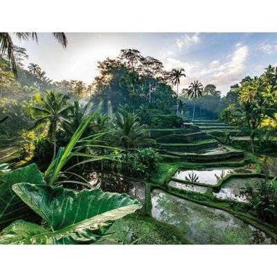 Puzzel Ravensburger Nathan